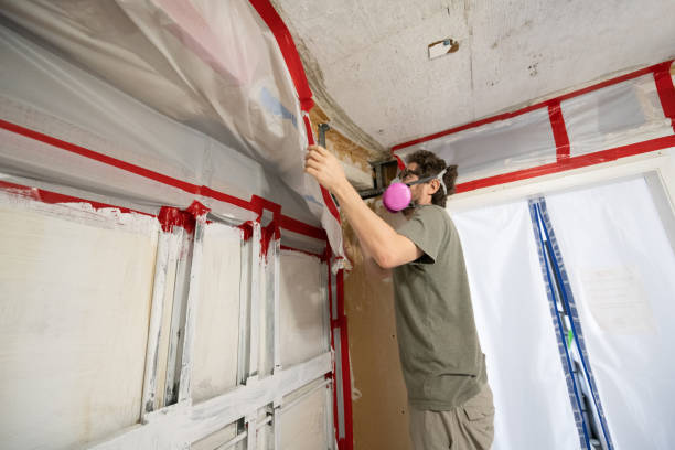 Best Airborne Mold Testing  in Orange City, IA
