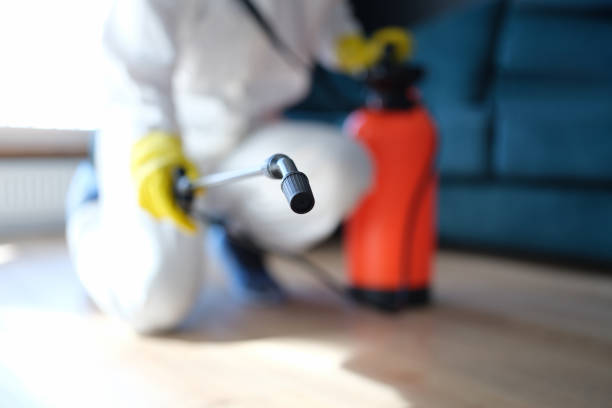 Orange City, IA Mold Removal Company
