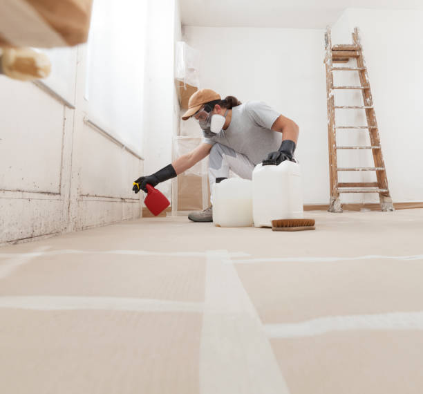 Best Comprehensive Air Testing for Mold Contaminants  in Orange City, IA