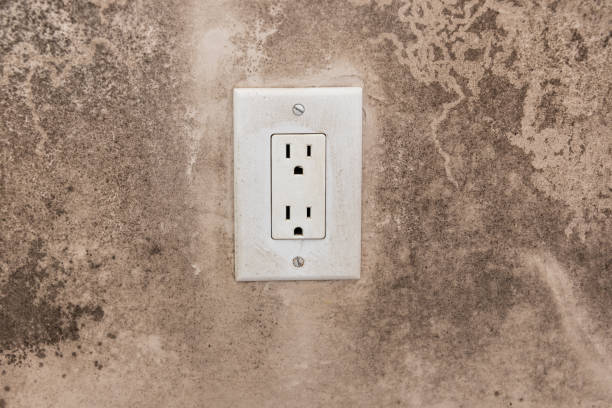 Best Forensic Mold Investigation  in Orange City, IA